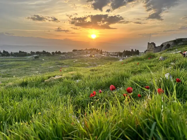 Amapolas y ruinas de Hierápolis al atardecer, Turquía | Guía Turístico